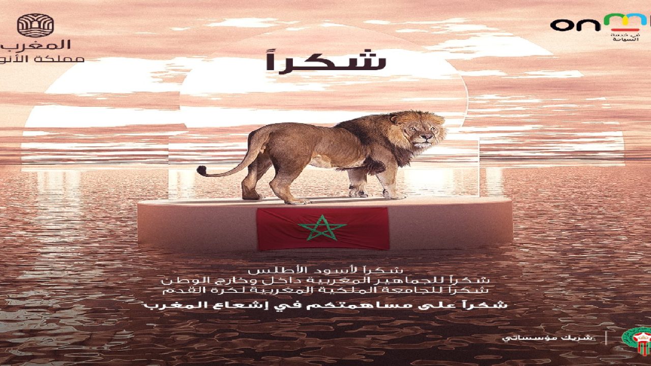 مكتب الساحة يستثمر إنجازات أسود الأطلس