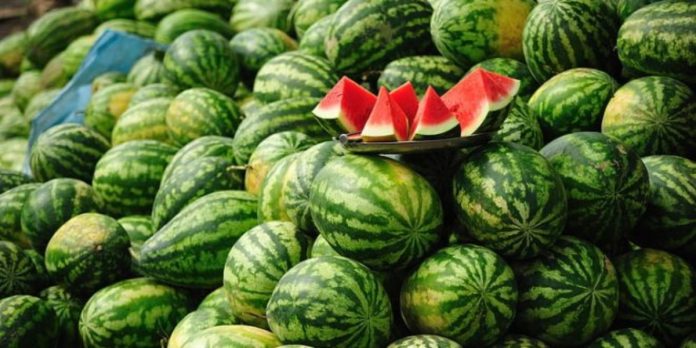 في عز استنزافه للموارد المائية.. مبيعات "الدلاح" المغربي إلى أوربا تتجاوز 200 مليار