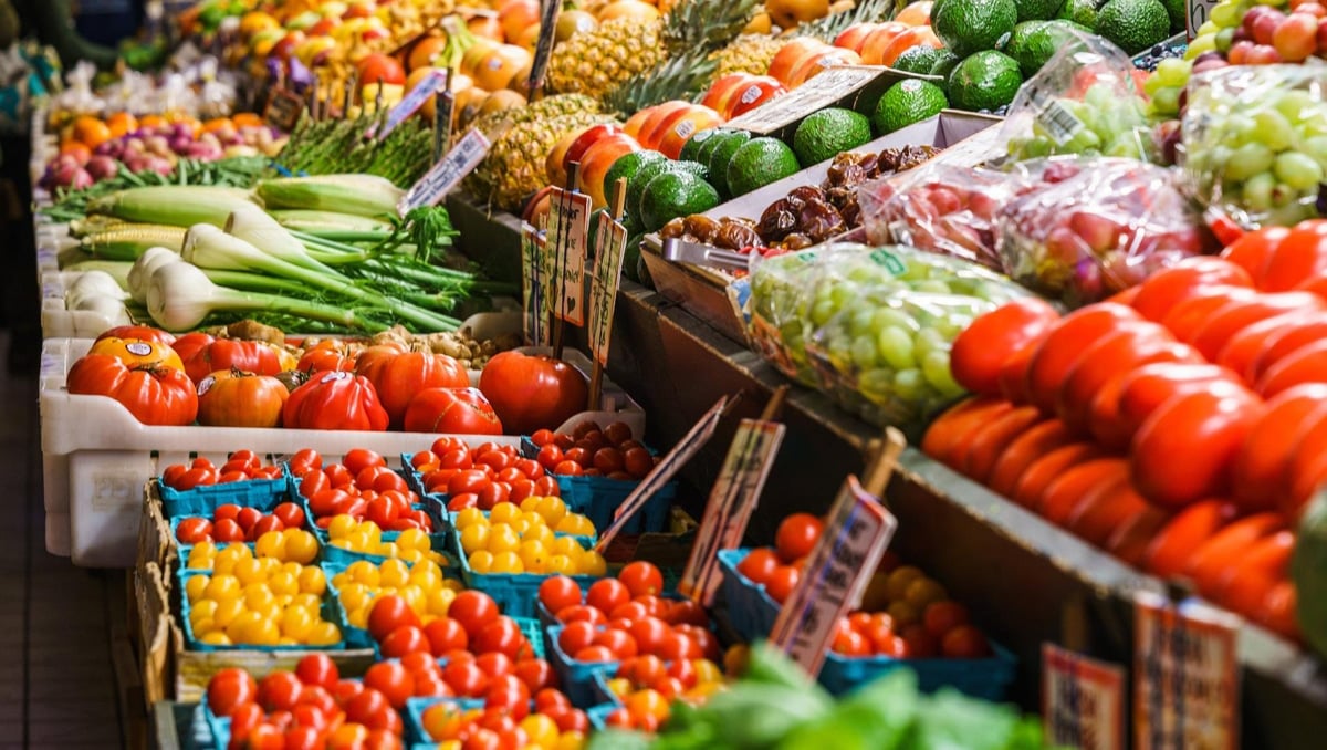 سياسة فلاحية متجددة تقود المغرب نحو الريادة في الأمن الغذائي العالمي