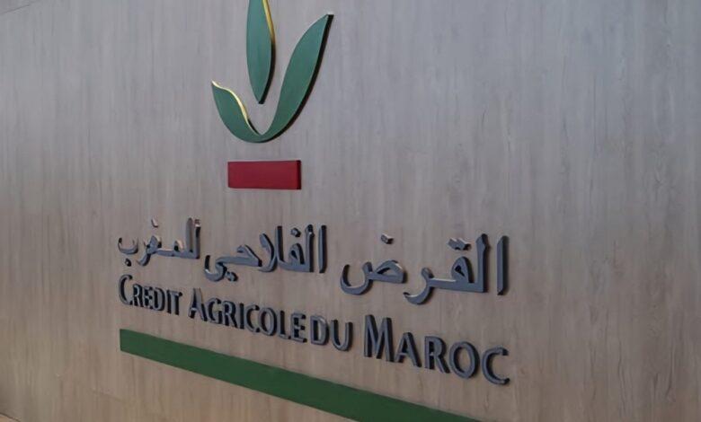 القرض الفلاحي للمغرب يرفع التمويلات بأكثر من 20% رغم تراجع الناتج البنكي الصافي